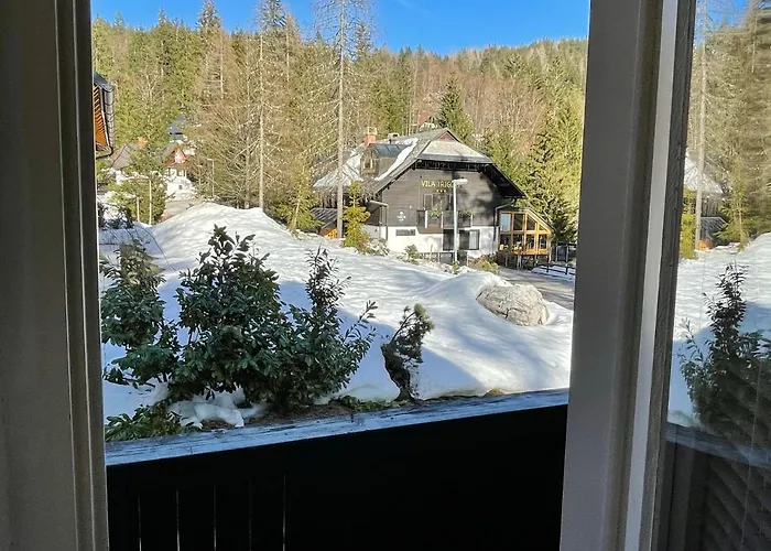 Apartment Martinov Dom